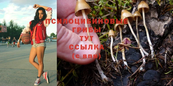 PSILOCYBIN Абдулино