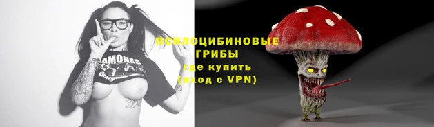прущие грибы Алексин