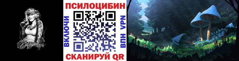 Псилоцибиновые грибы Psilocybe  блэк спрут зеркало  сайты даркнета Telegram  Димитровград 